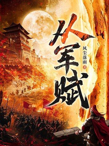 从军赋风尘雨落txt全集